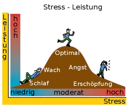 Leistung - Stress - Relation