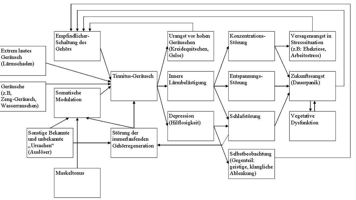 Hickersberger Tinnitus Modell http://commons.wikimedia.org/wiki/Image:Tinnitus-Modell10_Hickersberger.jpg